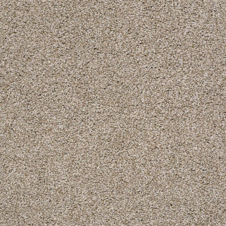 Shaw Floors Poised — Quiet Tan · 5E042-00112 — flooring selection with LeviArs Design & Remodeling