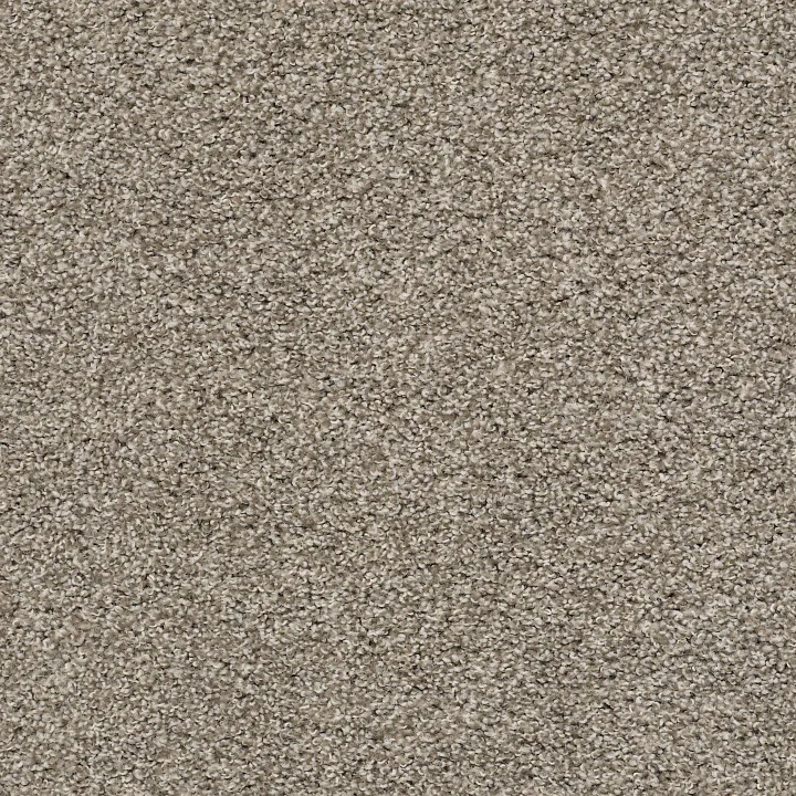 Shaw Floors Poised — Studio Loft · 5E042-00722 — flooring selection with LeviArs Design & Remodeling