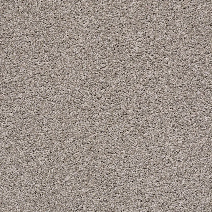 Shaw Floors Poised — Winter Birch · 5E042-00510 — flooring selection with LeviArs Design & Remodeling
