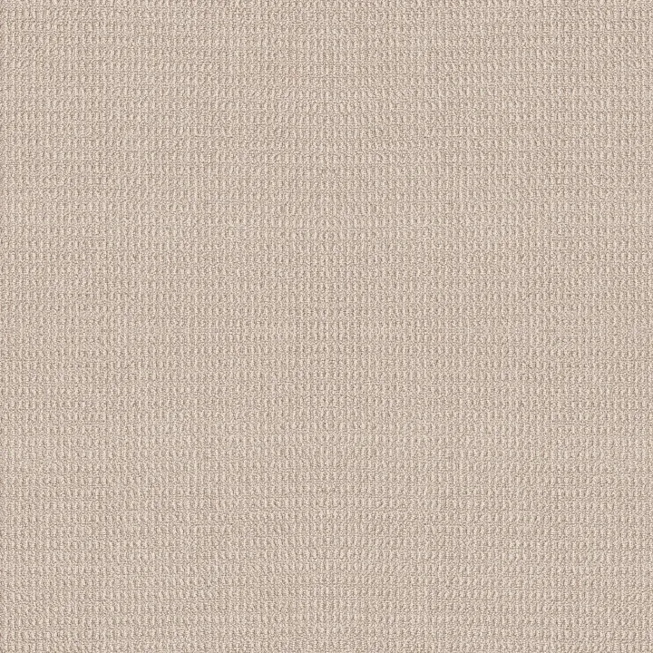 Shaw Floors Portofino — Creme Brulee · ZZ232-00121 — flooring selection with LeviArs Design & Remodeling