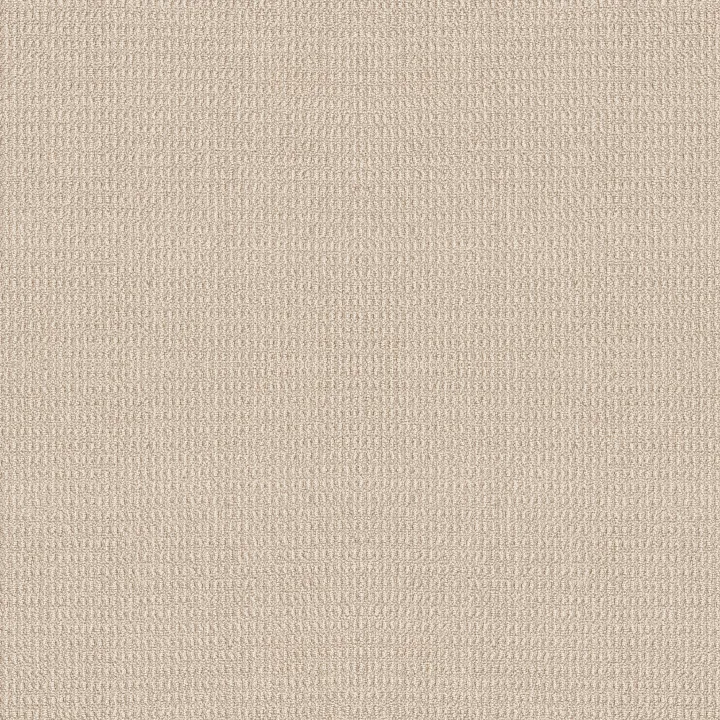Shaw Floors Portofino — Linen · ZZ232-00111 — flooring selection with LeviArs Design & Remodeling