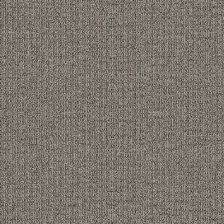 Shaw Floors Portofino — London Fog · ZZ232-00544 — flooring selection with LeviArs Design & Remodeling
