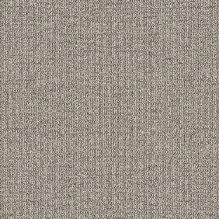Shaw Floors Portofino — Moonbeam · ZZ232-00542 — flooring selection with LeviArs Design & Remodeling