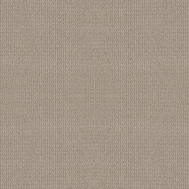 Shaw Floors Portofino — Oyster · ZZ232-00532 — flooring selection with LeviArs Design & Remodeling