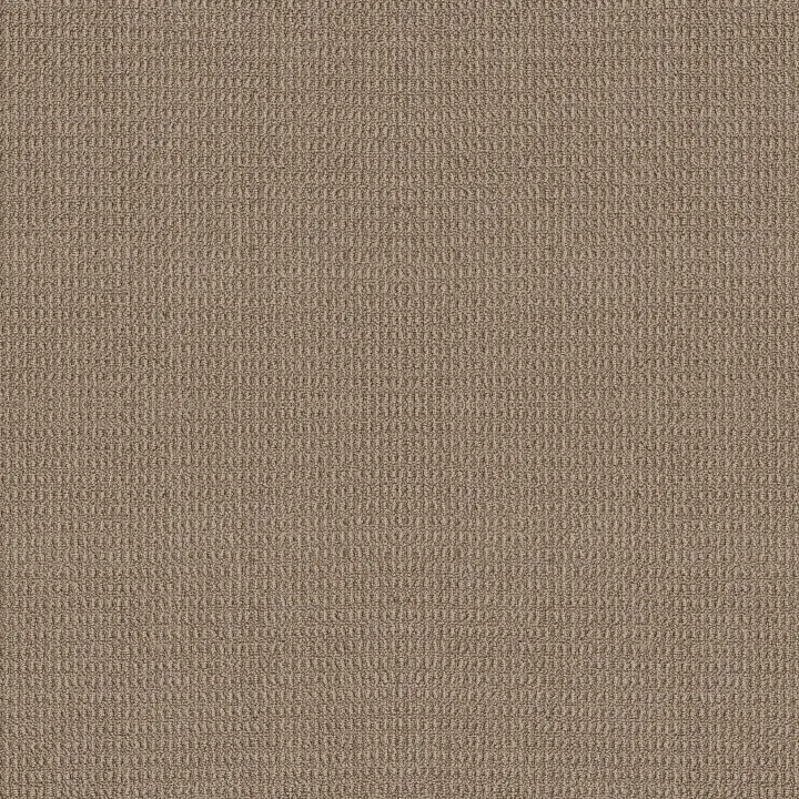 Shaw Floors Portofino — Plaza Taupe · ZZ232-00734 — flooring selection with LeviArs Design & Remodeling