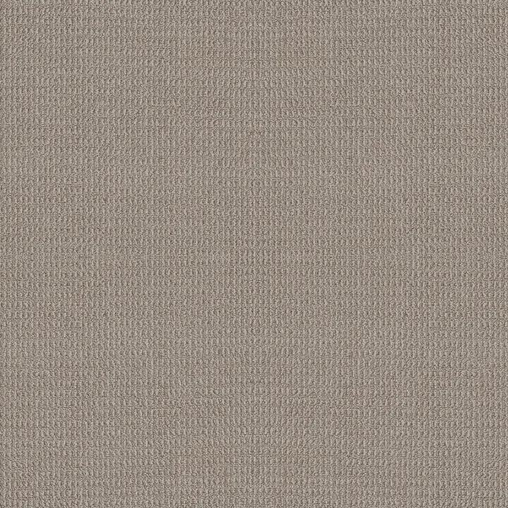 Shaw Floors Portofino — Pumice · ZZ232-00553 — flooring selection with LeviArs Design & Remodeling