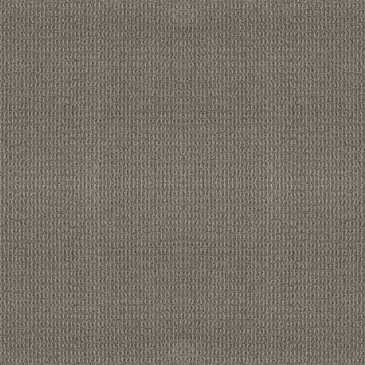 Shaw Floors Portofino — Rock Ridge · ZZ232-00548 — flooring selection with LeviArs Design & Remodeling