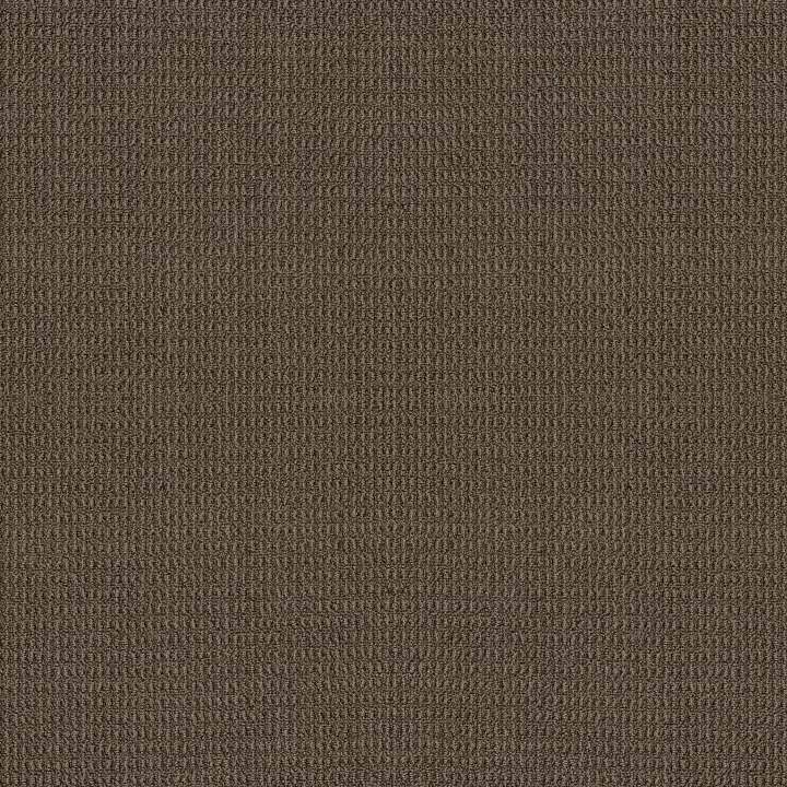 Shaw Floors Portofino — Shitake · ZZ232-00758 — flooring selection with LeviArs Design & Remodeling