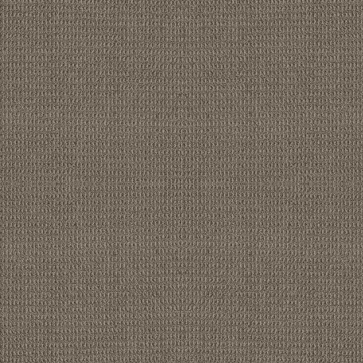 Shaw Floors Portofino — Timber Wolf · ZZ232-00757 — flooring selection with LeviArs Design & Remodeling