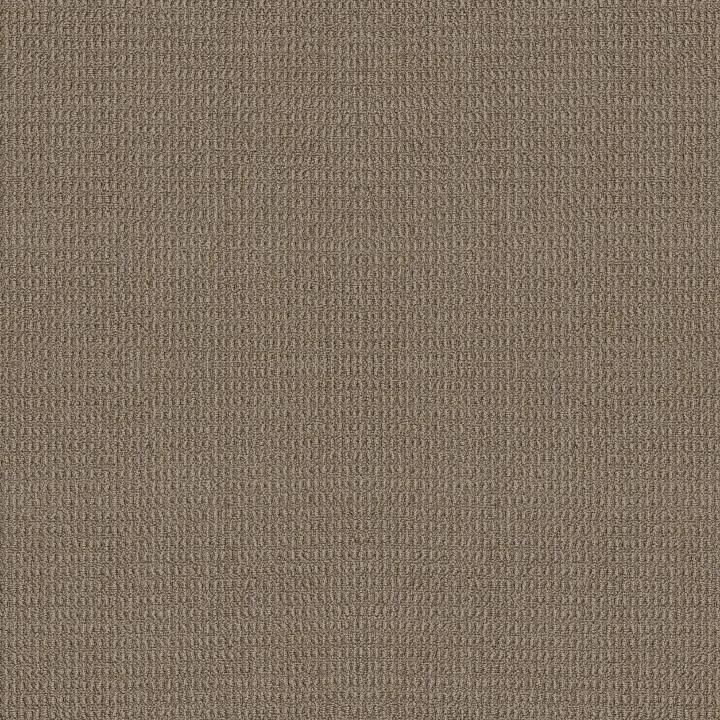 Shaw Floors Portofino — Tuffet · ZZ232-00756 — flooring selection with LeviArs Design & Remodeling