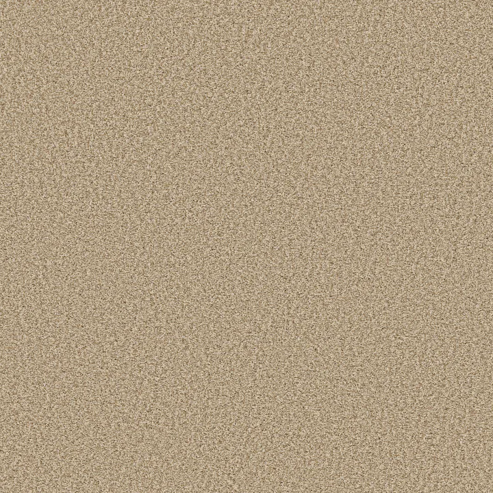 Shaw Floors Prescott Valley — Beach Grass · 5E831-00223 — flooring selection with LeviArs Design & Remodeling