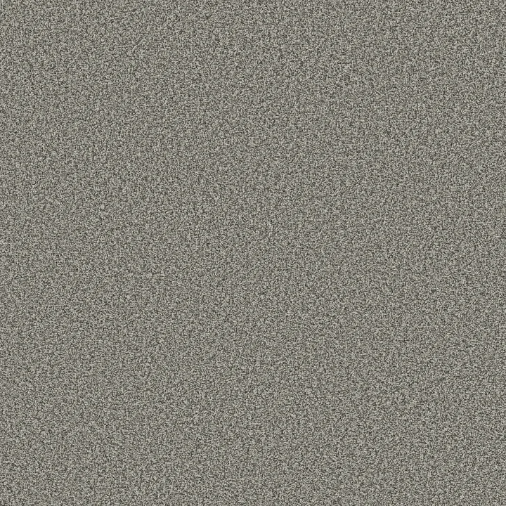 Shaw Floors Prescott Valley — Chelsea Fog · 5E831-00544 — flooring selection with LeviArs Design & Remodeling