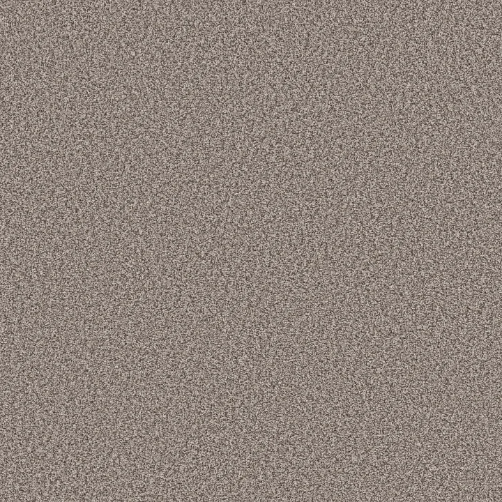 Shaw Floors Prescott Valley — Chic Taupe · 5E831-00775 — flooring selection with LeviArs Design & Remodeling