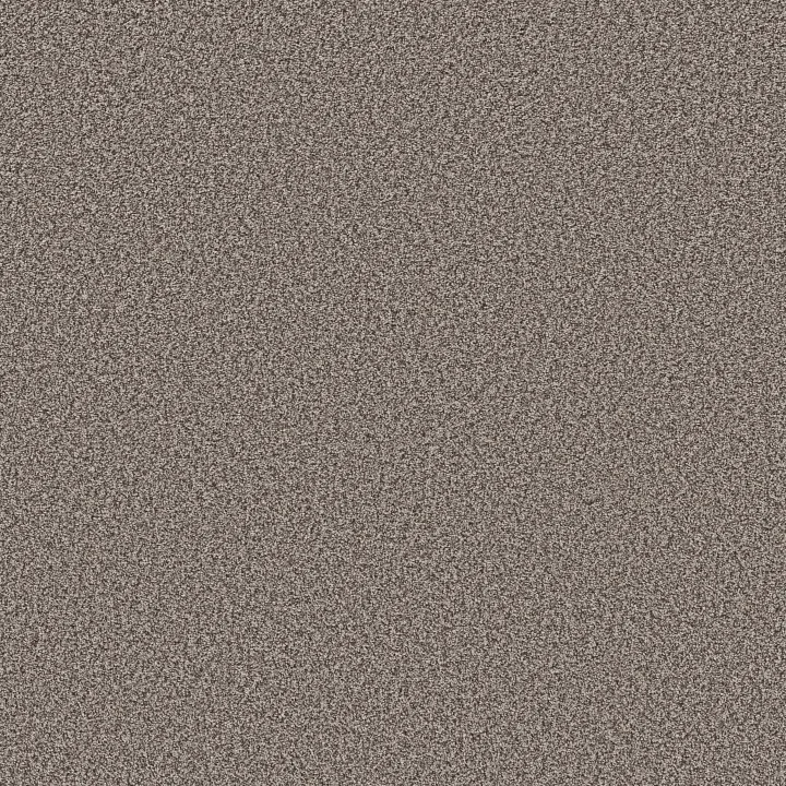 Shaw Floors Prescott Valley — Espresso · 5E831-00777 — flooring selection with LeviArs Design & Remodeling