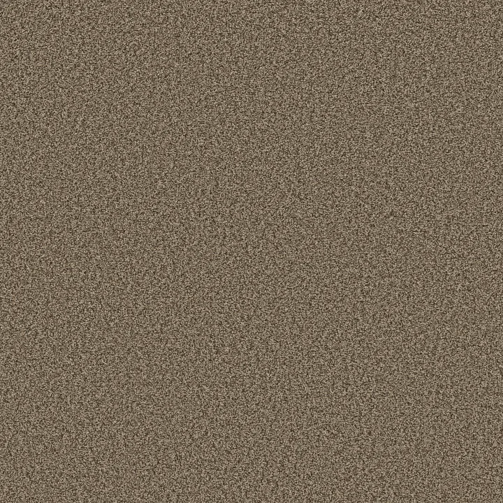 Shaw Floors Prescott Valley — Joshua Tree · 5E831-00716 — flooring selection with LeviArs Design & Remodeling