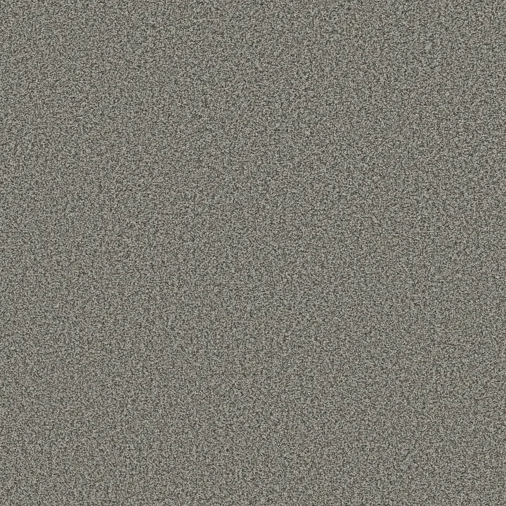 Shaw Floors Prescott Valley — Lunar · 5E831-00545 — flooring selection with LeviArs Design & Remodeling