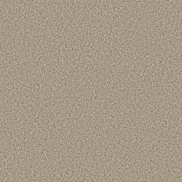 Shaw Floors Prescott Valley — Meditation · 5E831-00712 — flooring selection with LeviArs Design & Remodeling