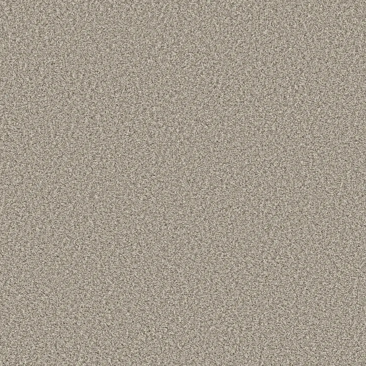 Shaw Floors Prescott Valley — Misty Dawn · 5E831-00151 — flooring selection with LeviArs Design & Remodeling
