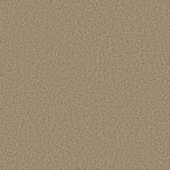 Shaw Floors Prescott Valley — Nutshell · 5E831-00764 — flooring selection with LeviArs Design & Remodeling