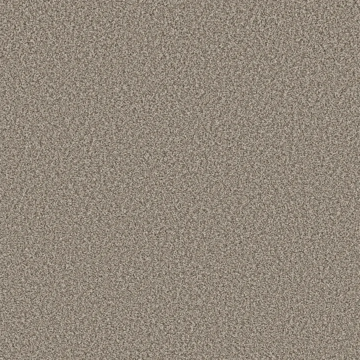 Shaw Floors Prescott Valley — Pashmina · 5E831-00754 — flooring selection with LeviArs Design & Remodeling