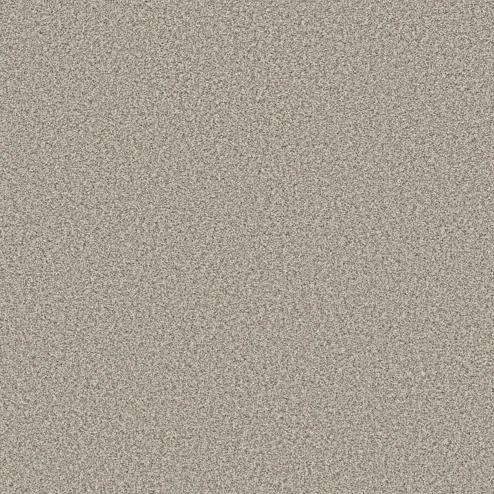 Shaw Floors Prescott Valley — Platinum · 5E831-00552 — flooring selection with LeviArs Design & Remodeling