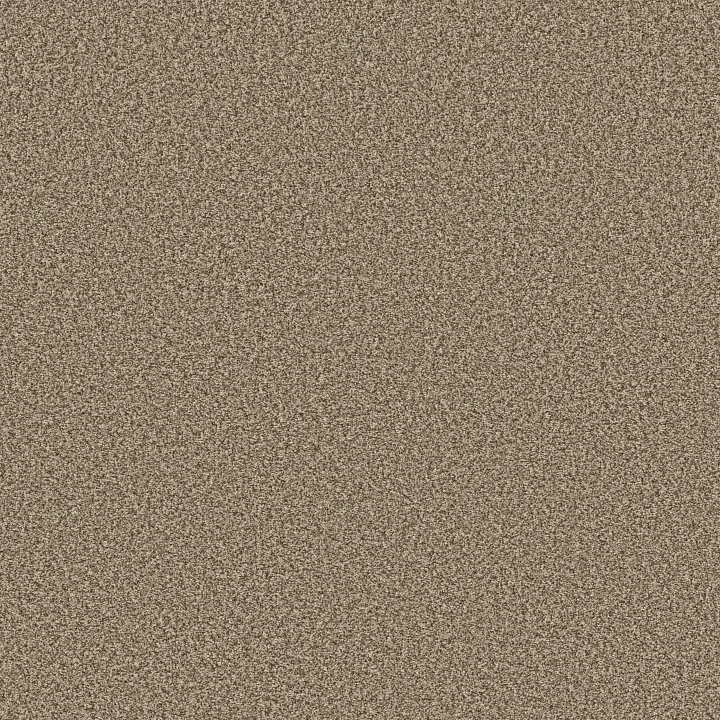 Shaw Floors Prescott Valley — Roasted · 5E831-00714 — flooring selection with LeviArs Design & Remodeling
