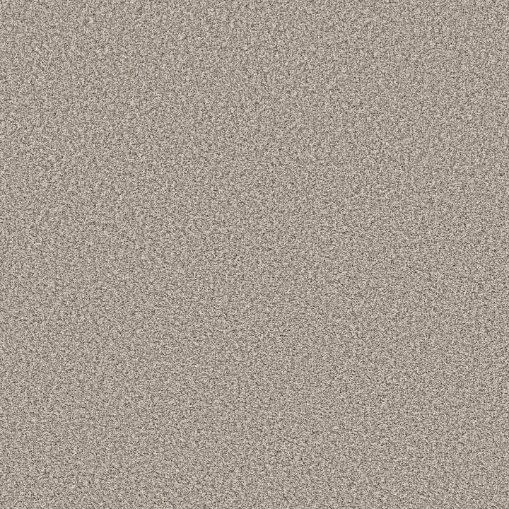 Shaw Floors Prescott Valley — Shoreline Haze · 5E831-00112 — flooring selection with LeviArs Design & Remodeling