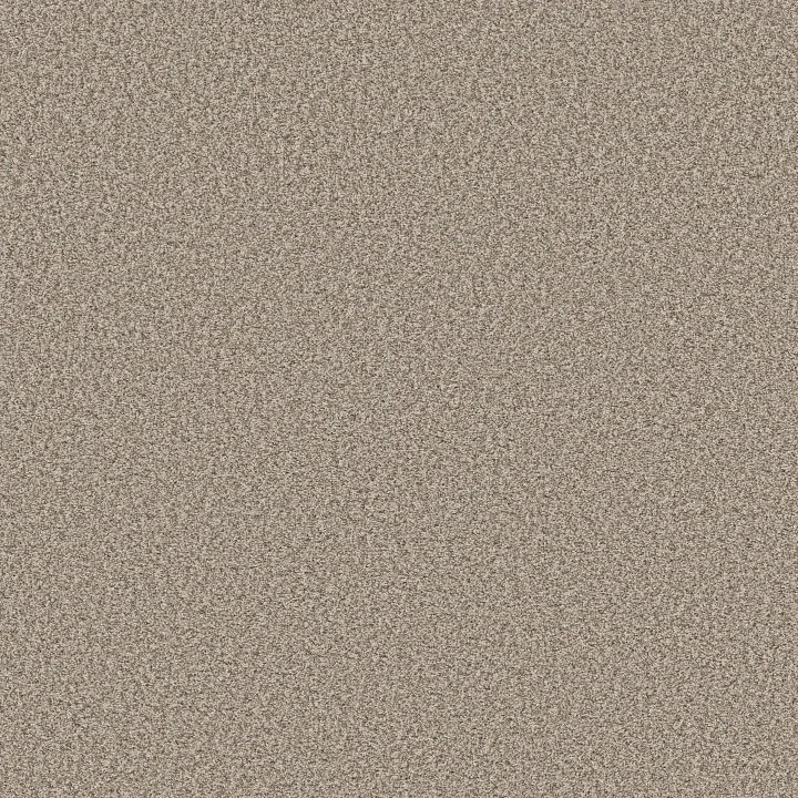 Shaw Floors Prescott Valley — Spun Cotton · 5E831-00172 — flooring selection with LeviArs Design & Remodeling