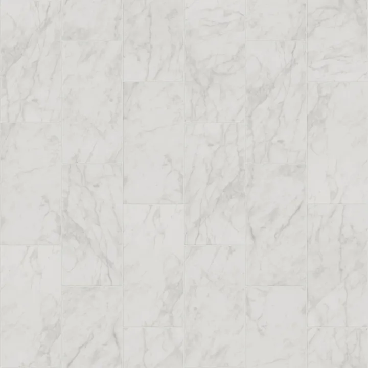 Shaw Floors Prime Aura 12X24 Polished — Carrara Abisso · 498TS-00111 — flooring selection with LeviArs Design & Remodeling