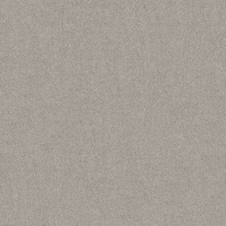 Shaw Floors Pure Affection S — Chain Reaction · 5E889-00501 — flooring selection with LeviArs Design & Remodeling