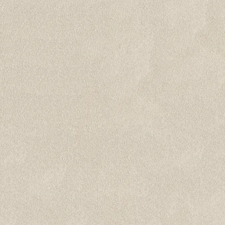 Shaw Floors Pure Affection S — Crisp Linen · 5E889-00100 — flooring selection with LeviArs Design & Remodeling