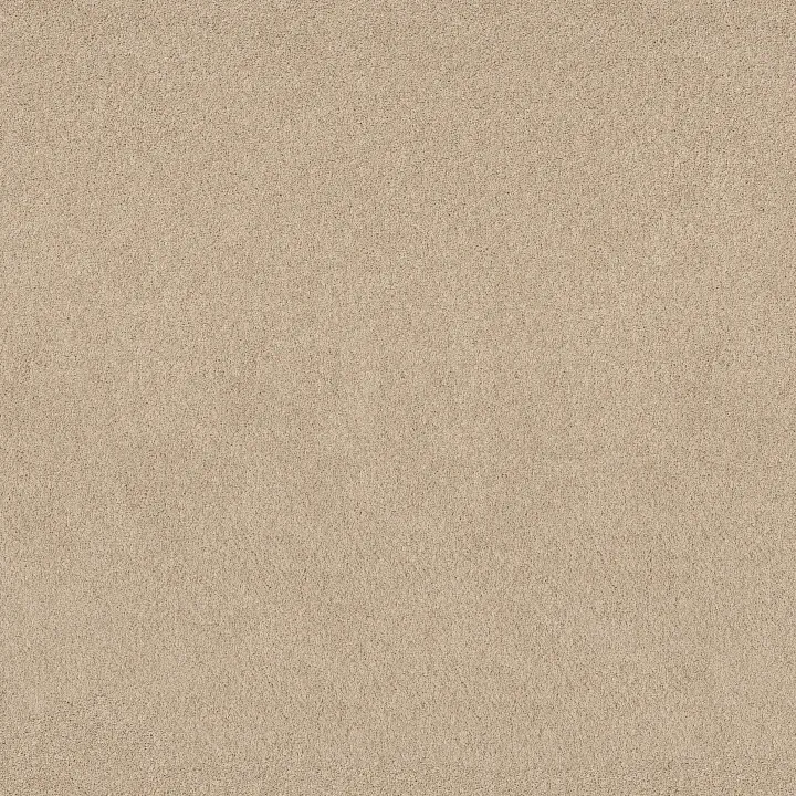Shaw Floors Pure Affection S — Hourglass · 5E889-00102 — flooring selection with LeviArs Design & Remodeling