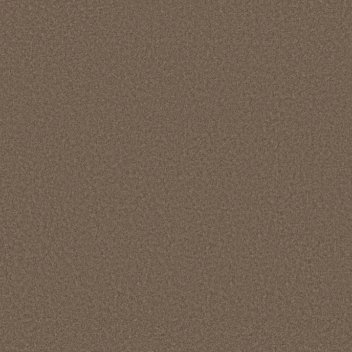 Shaw Floors Pure Affection S — Landmark · 5E889-00701 — flooring selection with LeviArs Design & Remodeling