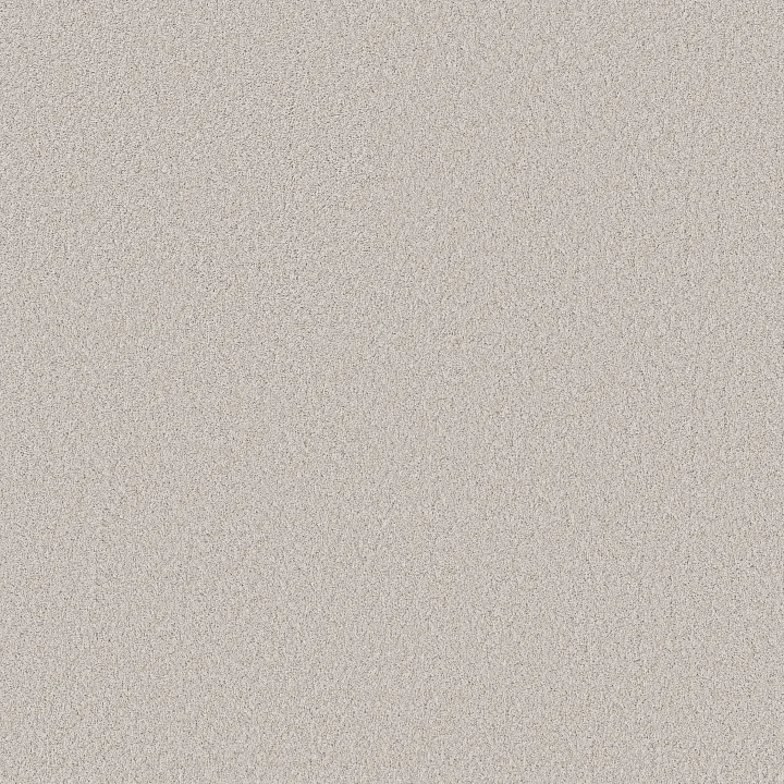Shaw Floors Pure Affection S — Light Year · 5E889-00500 — flooring selection with LeviArs Design & Remodeling