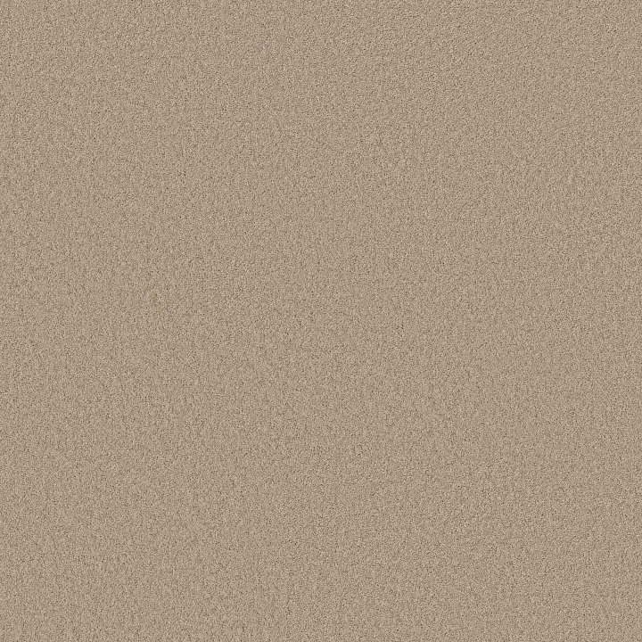 Shaw Floors Pure Affection S — Loft · 5E889-00103 — flooring selection with LeviArs Design & Remodeling