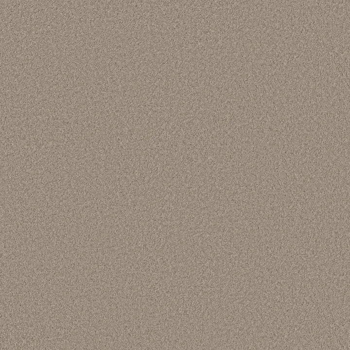 Shaw Floors Pure Affection S — On The Edge · 5E889-00104 — flooring selection with LeviArs Design & Remodeling