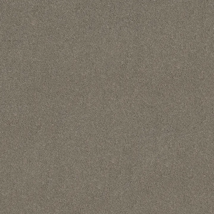 Shaw Floors Pure Affection S — Pier · 5E889-00702 — flooring selection with LeviArs Design & Remodeling