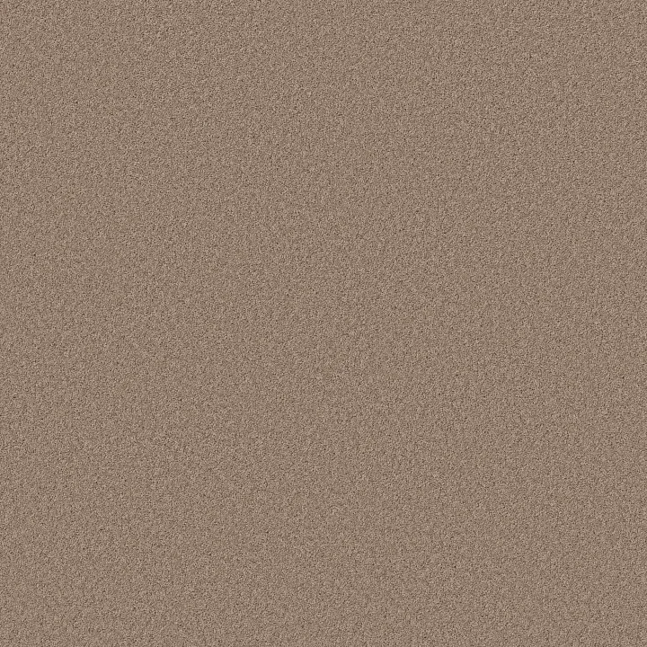 Shaw Floors Pure Affection S — Sierra · 5E889-00700 — flooring selection with LeviArs Design & Remodeling