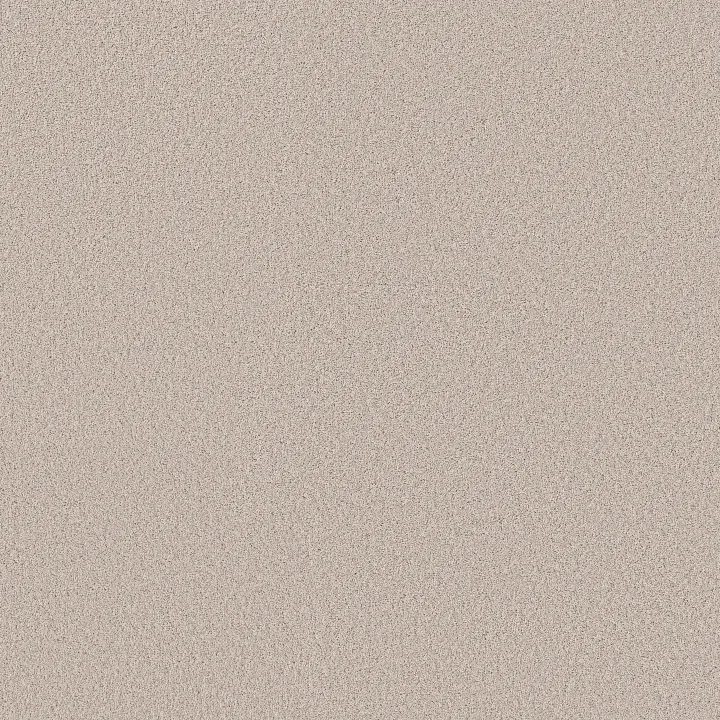 Shaw Floors Pure Affection S — Sparkling Water · 5E889-00101 — flooring selection with LeviArs Design & Remodeling