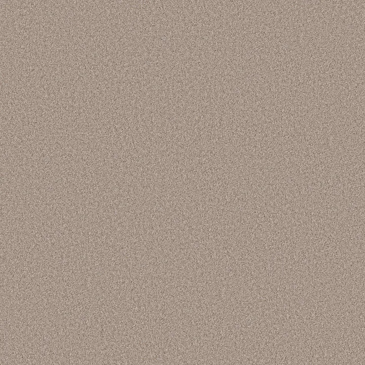 Shaw Floors Pure Affection T — Baja · 5E892-00720 — flooring selection with LeviArs Design & Remodeling