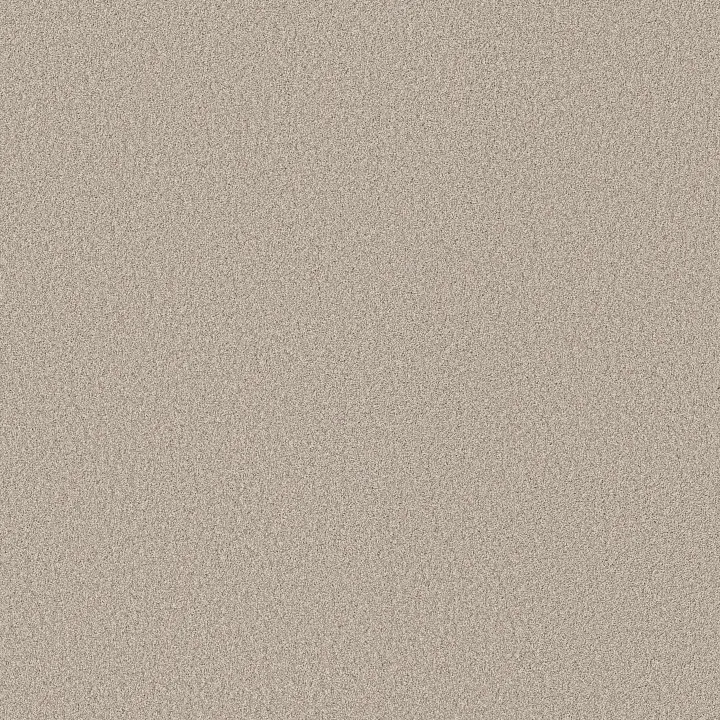 Shaw Floors Pure Affection T — Beige Mist · 5E892-00121 — flooring selection with LeviArs Design & Remodeling
