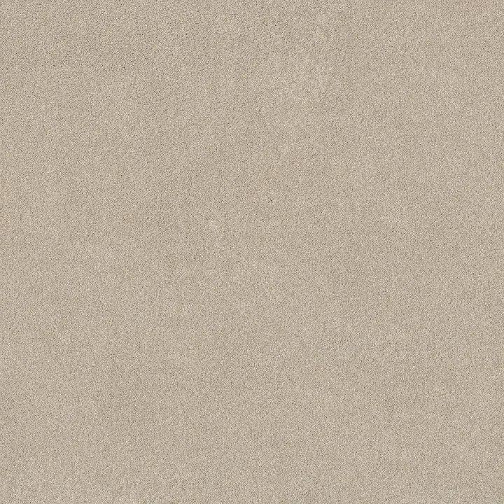 Shaw Floors Pure Affection T — Cafe Latte · 5E892-00122 — flooring selection with LeviArs Design & Remodeling