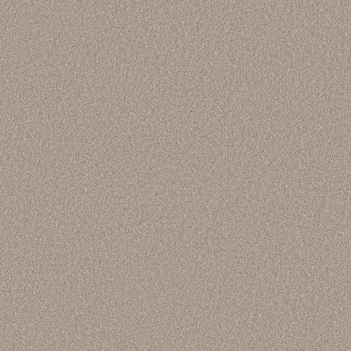 Shaw Floors Pure Affection T — Chic Taupe · 5E892-00124 — flooring selection with LeviArs Design & Remodeling