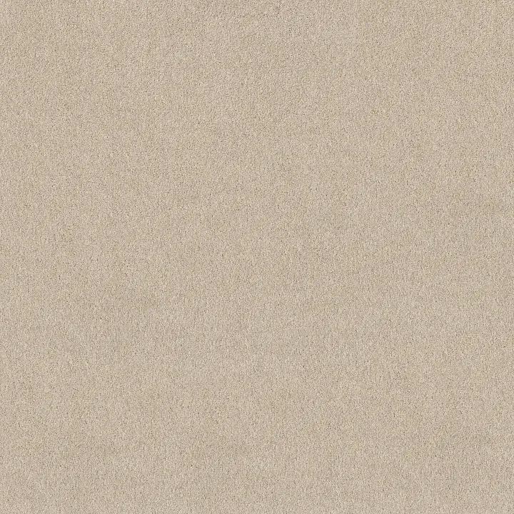 Shaw Floors Pure Affection T — Dune View · 5E892-00120 — flooring selection with LeviArs Design & Remodeling
