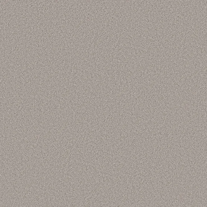 Shaw Floors Pure Affection T — Four Winds · 5E892-00520 — flooring selection with LeviArs Design & Remodeling