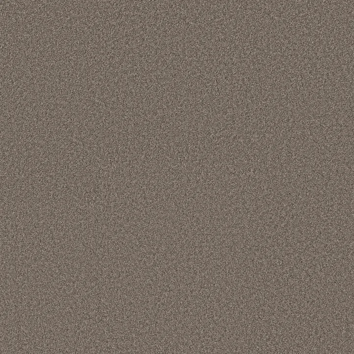 Shaw Floors Pure Affection T — Hideaway · 5E892-00722 — flooring selection with LeviArs Design & Remodeling