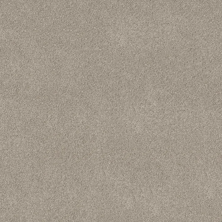 Shaw Floors Pure Affection T — Marble · 5E892-00523 — flooring selection with LeviArs Design & Remodeling