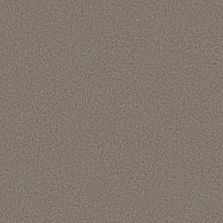 Shaw Floors Pure Affection T — Shadows · 5E892-00524 — flooring selection with LeviArs Design & Remodeling