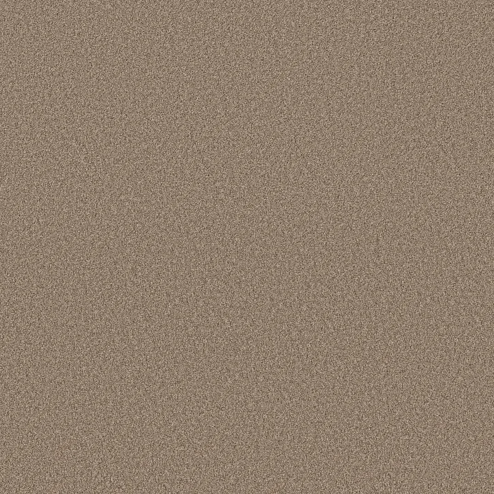 Shaw Floors Pure Affection T — Stonecrest · 5E892-00123 — flooring selection with LeviArs Design & Remodeling
