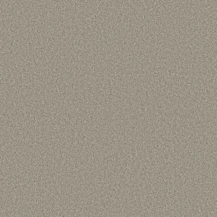 Shaw Floors Pure Comfort I — Back Patio · 5E970-00724 — flooring selection with LeviArs Design & Remodeling